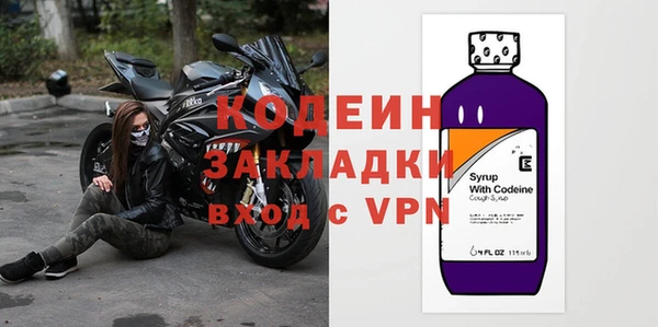 хмурый Гусь-Хрустальный