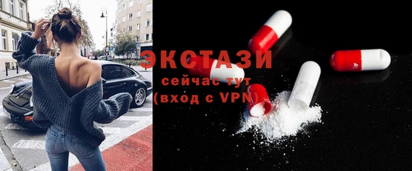 хмурый Гусь-Хрустальный