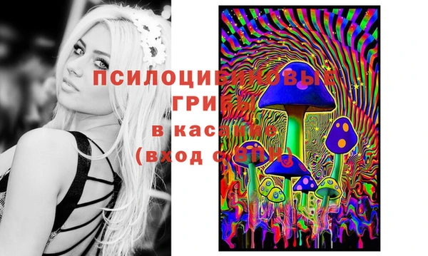хмурый Гусь-Хрустальный