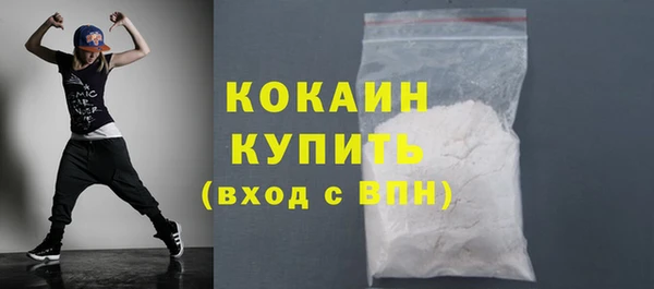 хмурый Гусь-Хрустальный
