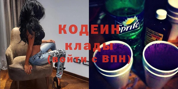 хмурый Гусь-Хрустальный