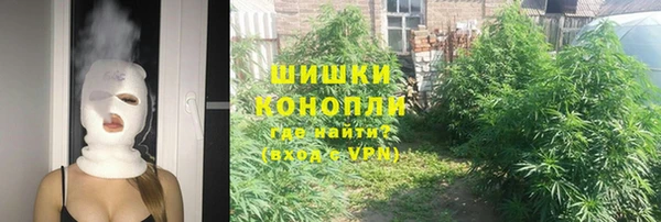 хмурый Гусь-Хрустальный