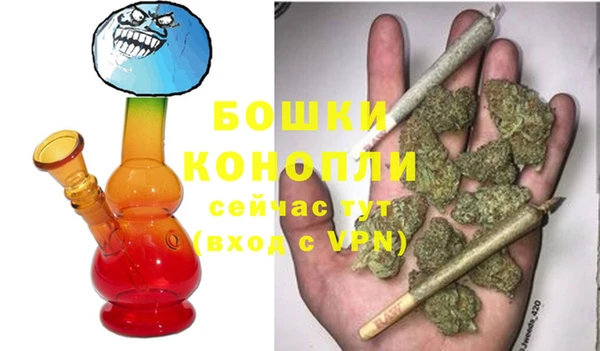 хмурый Гусь-Хрустальный