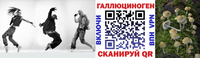 Псилоцибиновые грибы ЛСД  дарк нет как зайти  Березники  blacksprut зеркало 